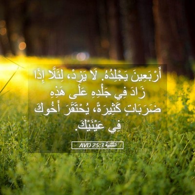 Picture 05 - اَلتَّثْنِيَة 25:3 AVD - أَرْبَعِينَ يَجْلِدُهُ. - Bible Verse Picture