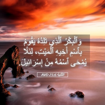 Picture 05 - اَلتَّثْنِيَة 25:6 AVD - وَٱلْبِكْرُ ٱلَّذِي - Bible Verse Picture