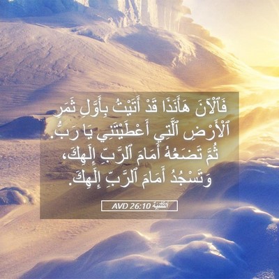 Picture 05 - اَلتَّثْنِيَة 26:10 AVD - فَٱلْآنَ هَأَنَذَا قَدْ - Bible Verse Picture