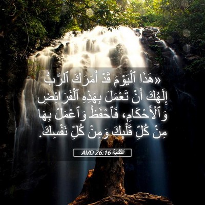 Picture 05 - اَلتَّثْنِيَة 26:16 AVD - «هَذَا ٱلْيَوْمَ قَدْ - Bible Verse Picture