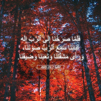 Picture 05 - اَلتَّثْنِيَة 26:7 AVD - فَلَمَّا صَرَخْنَا إِلَى - Bible Verse Picture
