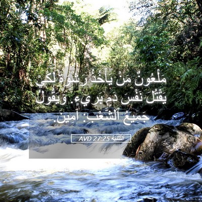 Picture 05 - اَلتَّثْنِيَة 27:25 AVD - مَلْعُونٌ مَنْ يَأْخُذُ - Bible Verse Picture
