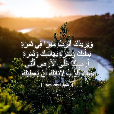 Picture 05 - اَلتَّثْنِيَة 28:11 AVD - وَيَزِيدُكَ ٱلرَّبُّ - Bible Verse Picture