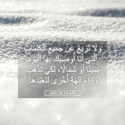 Picture 05 - اَلتَّثْنِيَة 28:14 AVD - وَلَا تَزِيغَ عَنْ جَمِيعِ - Bible Verse Picture