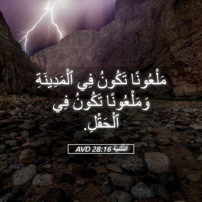 Picture 05 - اَلتَّثْنِيَة 28:16 AVD - مَلْعُونًا تَكُونُ فِي - Bible Verse Picture