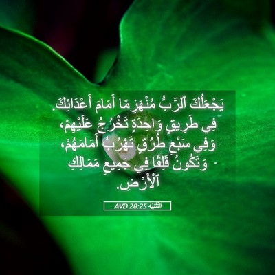 Picture 05 - اَلتَّثْنِيَة 28:25 AVD - يَجْعَلُكَ ٱلرَّبُّ - Bible Verse Picture