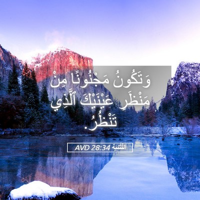 Picture 05 - اَلتَّثْنِيَة 28:34 AVD - وَتَكُونُ مَجْنُونًا مِنْ - Bible Verse Picture