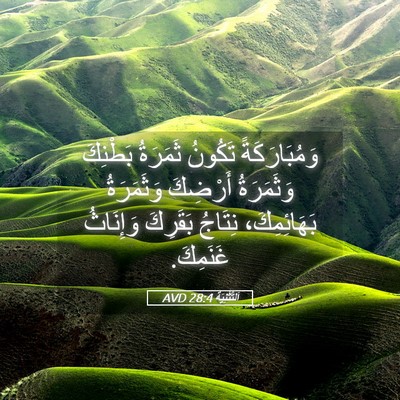 Picture 05 - اَلتَّثْنِيَة 28:4 AVD - وَمُبَارَكَةً تَكُونُ - Bible Verse Picture