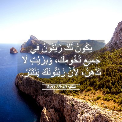 Picture 05 - اَلتَّثْنِيَة 28:40 AVD - يَكُونُ لَكَ زَيْتُونٌ فِي - Bible Verse Picture