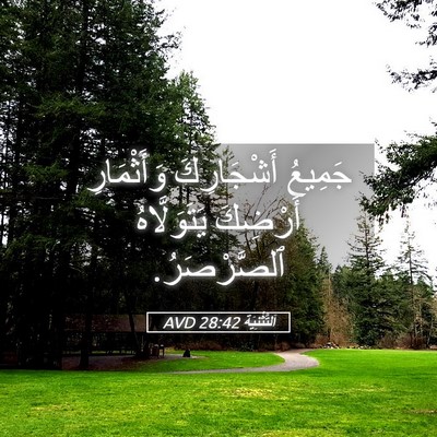 Picture 05 - اَلتَّثْنِيَة 28:42 AVD - جَمِيعُ أَشْجَارِكَ - Bible Verse Picture