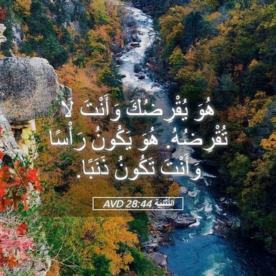 Picture 05 - اَلتَّثْنِيَة 28:44 AVD - هُوَ يُقْرِضُكَ وَأَنْتَ - Bible Verse Picture