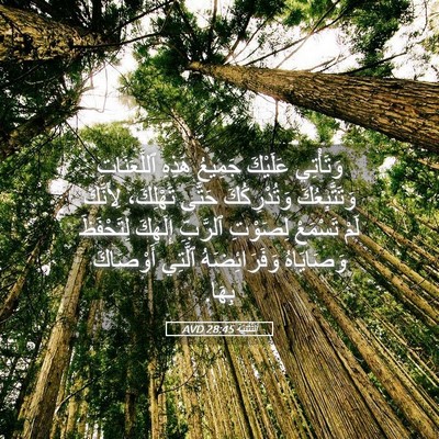 Picture 05 - اَلتَّثْنِيَة 28:45 AVD - وَتَأْتِي عَلَيْكَ - Bible Verse Picture