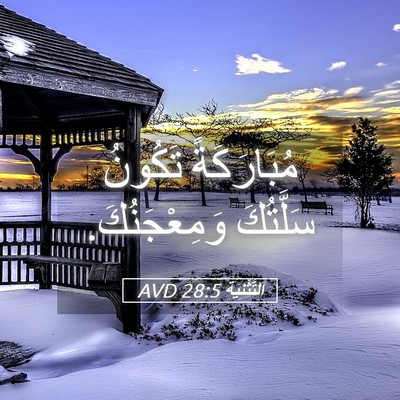 Picture 05 - اَلتَّثْنِيَة 28:5 AVD - مُبَارَكَةً تَكُونُ - Bible Verse Picture
