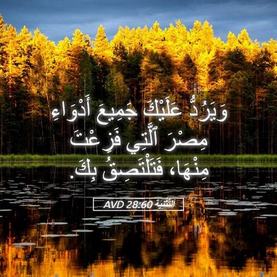 Picture 05 - اَلتَّثْنِيَة 28:60 AVD - وَيَرُدُّ عَلَيْكَ - Bible Verse Picture