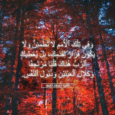 Picture 05 - اَلتَّثْنِيَة 28:65 AVD - وَفِي تِلْكَ ٱلْأُمَمِ لَا - Bible Verse Picture