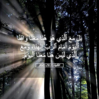 Picture 05 - اَلتَّثْنِيَة 29:15 AVD - بَلْ مَعَ ٱلَّذِي هُوَ - Bible Verse Picture