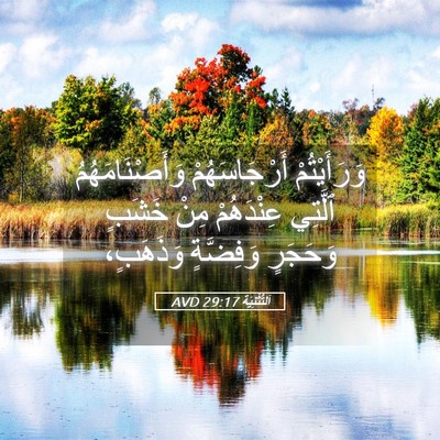 Picture 05 - اَلتَّثْنِيَة 29:17 AVD - وَرَأَيْتُمْ - Bible Verse Picture
