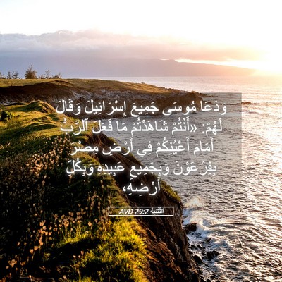Picture 05 - اَلتَّثْنِيَة 29:2 AVD - وَدَعَا مُوسَى جَمِيعَ - Bible Verse Picture