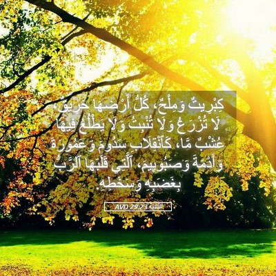 Picture 05 - اَلتَّثْنِيَة 29:23 AVD - كِبْرِيتٌ وَمِلْحٌ، كُلُّ - Bible Verse Picture