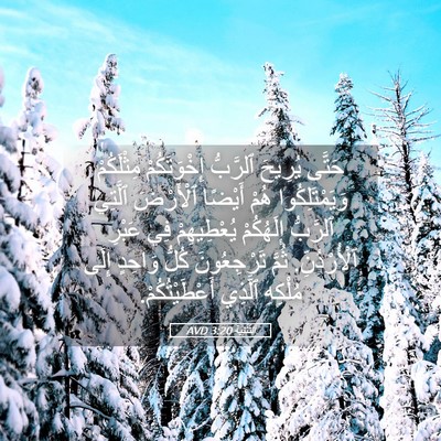 Picture 05 - اَلتَّثْنِيَة 3:20 AVD - حَتَّى يُرِيحَ ٱلرَّبُّ - Bible Verse Picture
