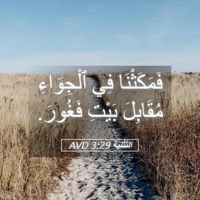Picture 05 - اَلتَّثْنِيَة 3:29 AVD - فَمَكَثْنَا فِي - Bible Verse Picture