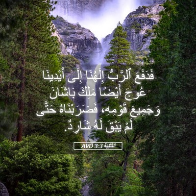 Picture 05 - اَلتَّثْنِيَة 3:3 AVD - فَدَفَعَ ٱلرَّبُّ - Bible Verse Picture
