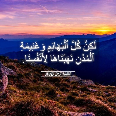 Picture 05 - اَلتَّثْنِيَة 3:7 AVD - لَكِنَّ كُلَّ - Bible Verse Picture