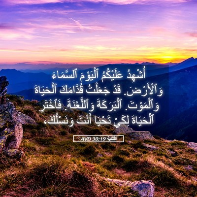 Picture 05 - اَلتَّثْنِيَة 30:19 AVD - أُشْهِدُ عَلَيْكُمُ - Bible Verse Picture