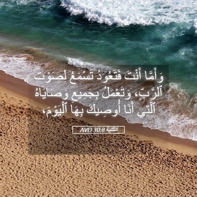 Picture 05 - اَلتَّثْنِيَة 30:8 AVD - وَأَمَّا أَنْتَ فَتَعُودُ - Bible Verse Picture