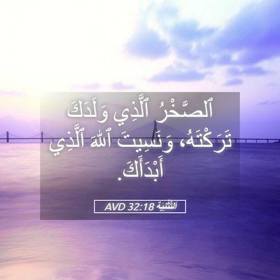 Picture 05 - اَلتَّثْنِيَة 32:18 AVD - ٱلصَّخْرُ ٱلَّذِي - Bible Verse Picture