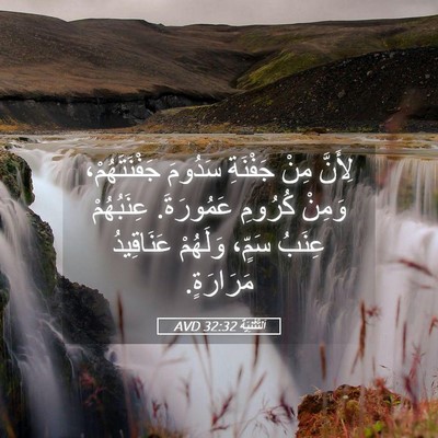 Picture 05 - اَلتَّثْنِيَة 32:32 AVD - لِأَنَّ مِنْ جَفْنَةِ - Bible Verse Picture