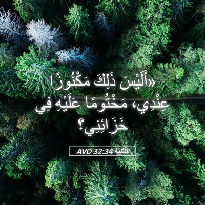 Picture 05 - اَلتَّثْنِيَة 32:34 AVD - «أَلَيْسَ ذَلِكَ - Bible Verse Picture