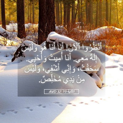 Picture 05 - اَلتَّثْنِيَة 32:39 AVD - اُنْظُرُوا ٱلْآنَ! أَنَا - Bible Verse Picture