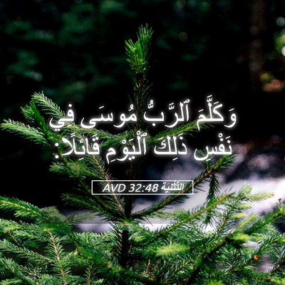 Picture 05 - اَلتَّثْنِيَة 32:48 AVD - وَكَلَّمَ ٱلرَّبُّ مُوسَى - Bible Verse Picture