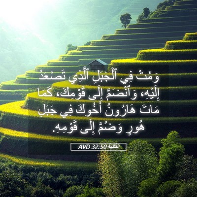 Picture 05 - اَلتَّثْنِيَة 32:50 AVD - وَمُتْ فِي ٱلْجَبَلِ - Bible Verse Picture
