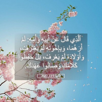 Picture 05 - اَلتَّثْنِيَة 33:9 AVD - ٱلَّذِي قَالَ عَنْ أَبِيهِ - Bible Verse Picture