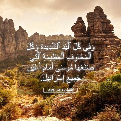 Picture 05 - اَلتَّثْنِيَة 34:12 AVD - وَفِي كُلِّ ٱلْيَدِ - Bible Verse Picture