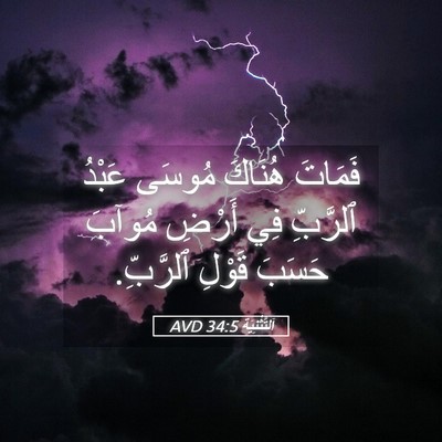 Picture 05 - اَلتَّثْنِيَة 34:5 AVD - فَمَاتَ هُنَاكَ مُوسَى - Bible Verse Picture