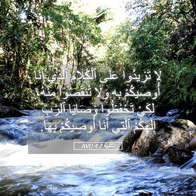 Picture 05 - اَلتَّثْنِيَة 4:2 AVD - لَا تَزِيدُوا عَلَى - Bible Verse Picture