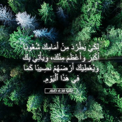 Picture 05 - اَلتَّثْنِيَة 4:38 AVD - لِكَيْ يَطْرُدَ مِنْ - Bible Verse Picture