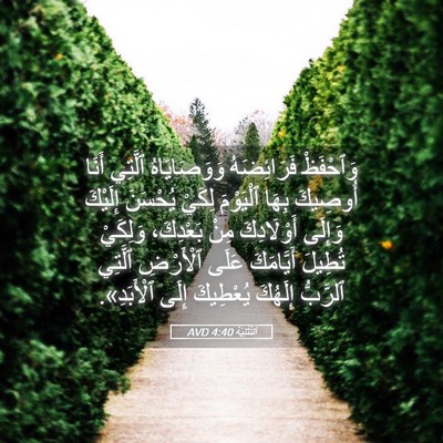 Picture 05 - اَلتَّثْنِيَة 4:40 AVD - وَٱحْفَظْ فَرَائِضَهُ - Bible Verse Picture