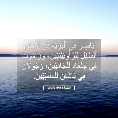 Picture 05 - اَلتَّثْنِيَة 4:43 AVD - بَاصِرَ فِي ٱلْبَرِّيَّةِ - Bible Verse Picture