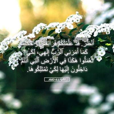 Picture 05 - اَلتَّثْنِيَة 4:5 AVD - اُنْظُرْ. قَدْ - Bible Verse Picture