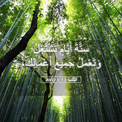 Picture 05 - اَلتَّثْنِيَة 5:13 AVD - سِتَّةَ أَيَّامٍ - Bible Verse Picture