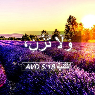 Picture 05 - اَلتَّثْنِيَة 5:18 AVD - وَلَا - Bible Verse Picture