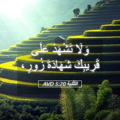 Picture 05 - اَلتَّثْنِيَة 5:20 AVD - وَلَا تَشْهَدْ عَلَى - Bible Verse Picture
