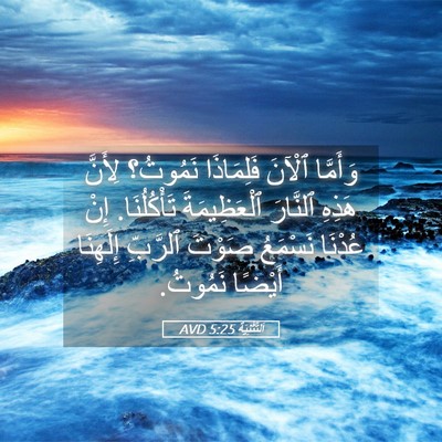 Picture 05 - اَلتَّثْنِيَة 5:25 AVD - وَأَمَّا ٱلْآنَ - Bible Verse Picture