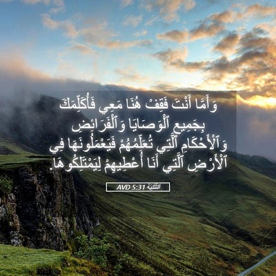 Picture 05 - اَلتَّثْنِيَة 5:31 AVD - وَأَمَّا أَنْتَ فَقِفْ - Bible Verse Picture