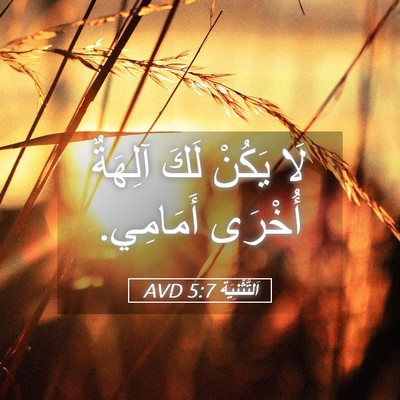 Picture 05 - اَلتَّثْنِيَة 5:7 AVD - لَا يَكُنْ لَكَ آلِهَةٌ - Bible Verse Picture