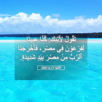 Picture 05 - اَلتَّثْنِيَة 6:21 AVD - تَقُولُ لِٱبْنِكَ: كُنَّا - Bible Verse Picture